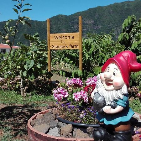Gasthaus Granny'S Farm São Vicente Exterior foto