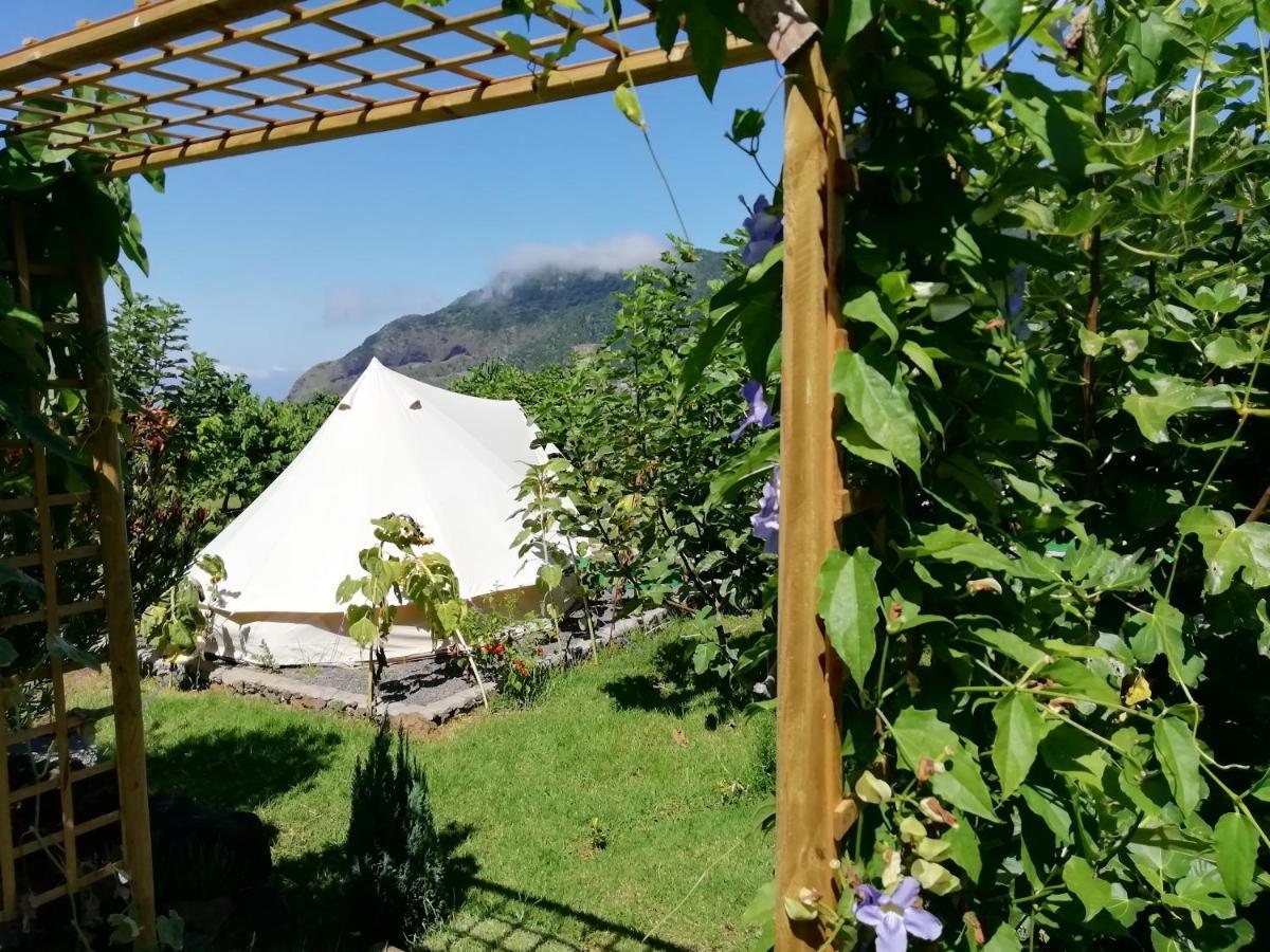 Gasthaus Granny'S Farm São Vicente Exterior foto