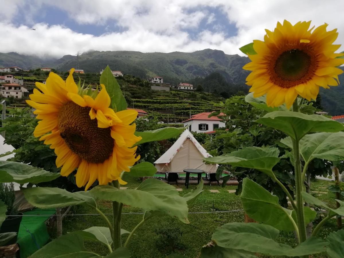 Gasthaus Granny'S Farm São Vicente Exterior foto