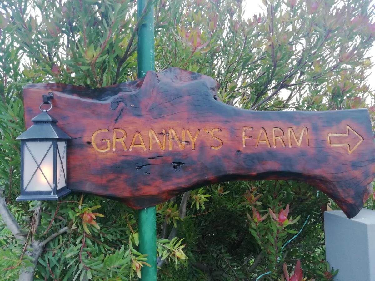 Gasthaus Granny'S Farm São Vicente Exterior foto