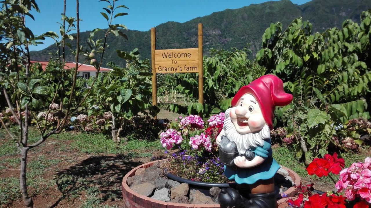 Gasthaus Granny'S Farm São Vicente Exterior foto