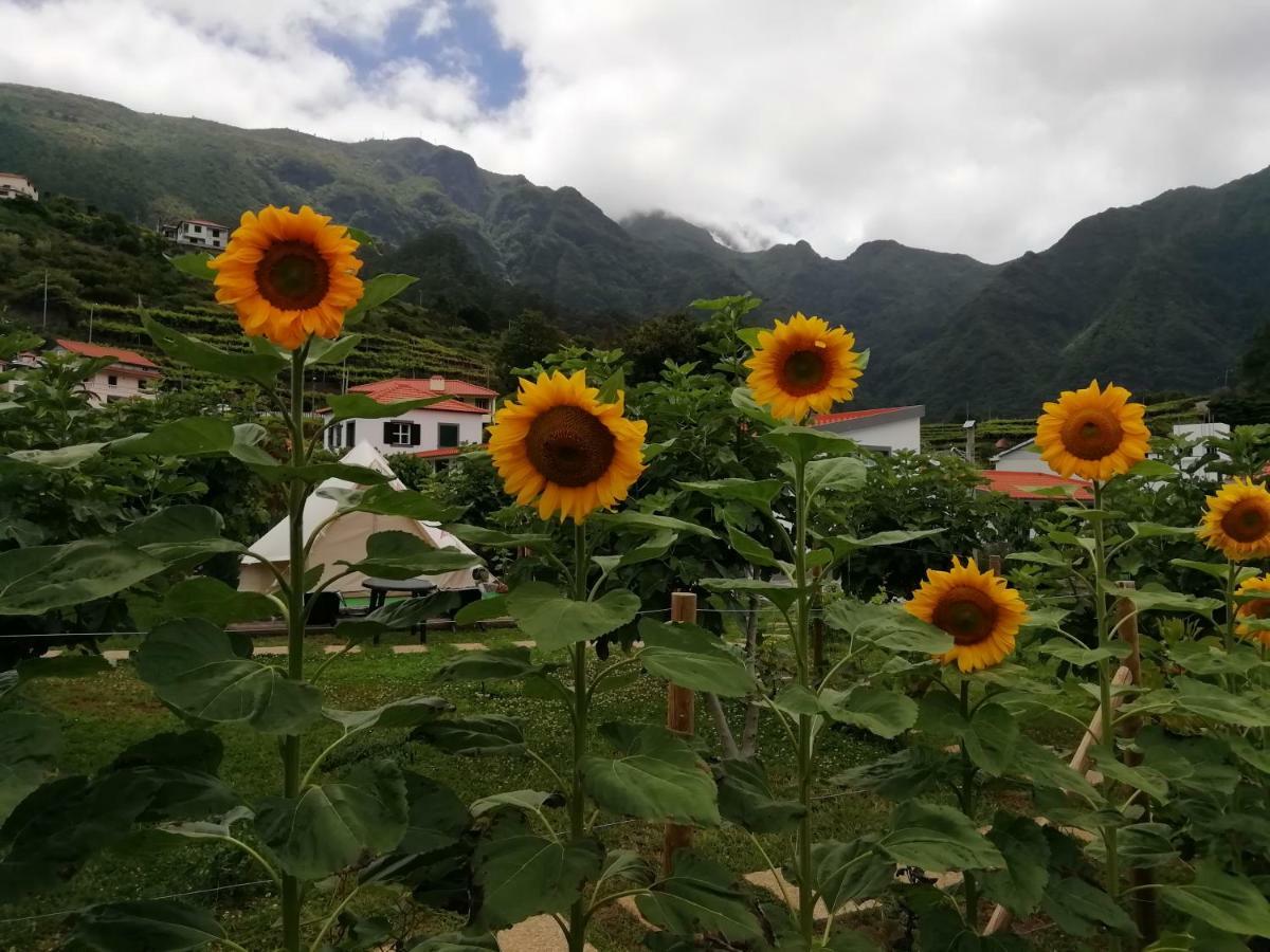 Gasthaus Granny'S Farm São Vicente Exterior foto