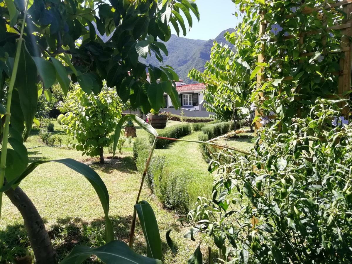 Gasthaus Granny'S Farm São Vicente Exterior foto