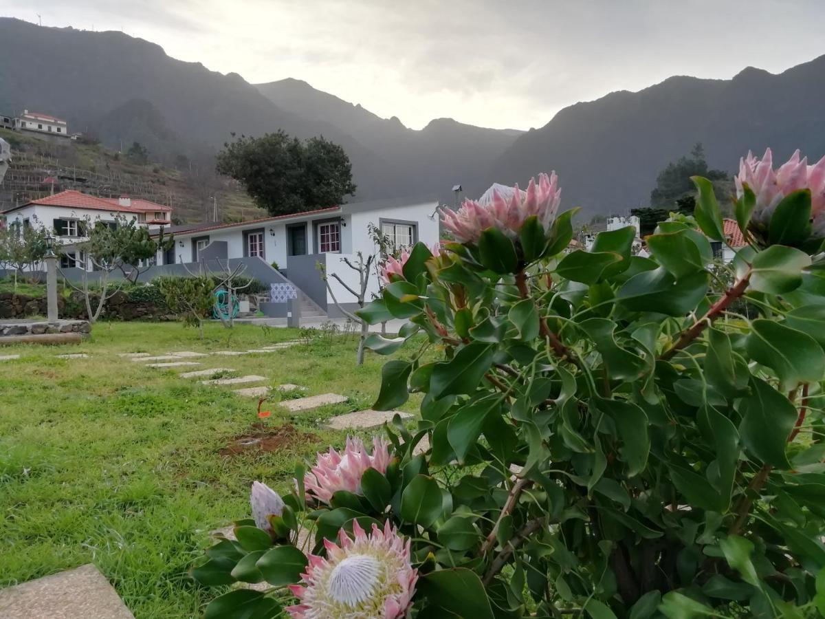 Gasthaus Granny'S Farm São Vicente Exterior foto